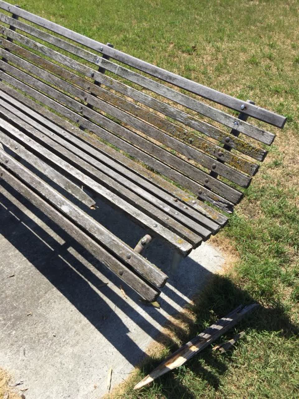 The photograph attached to this parks report