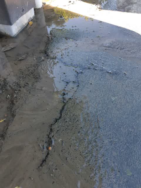 Water Supply, a report photo