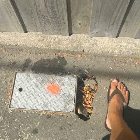 Roading/Streets, a report photo