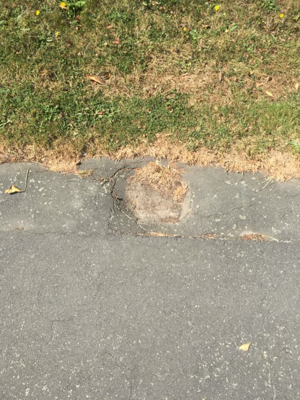 The photograph attached to this roading/streets report