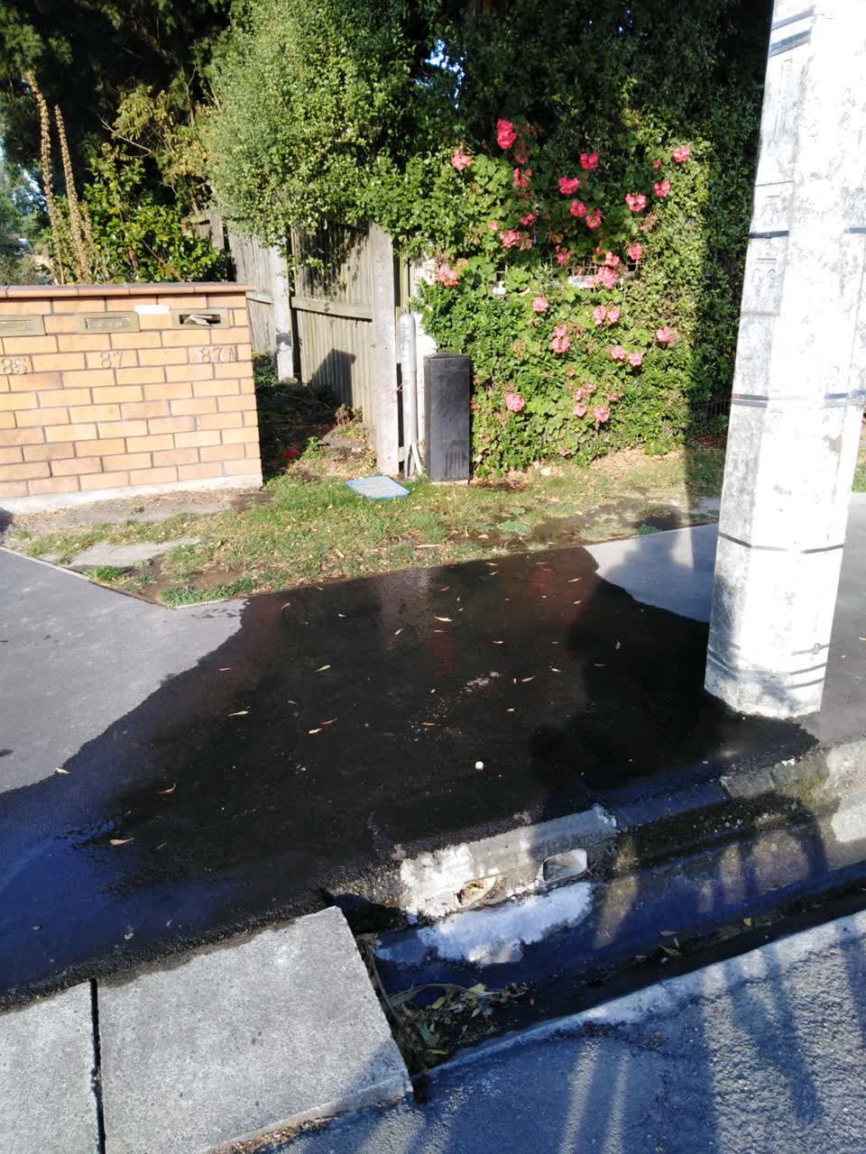 The photograph attached to this water supply report