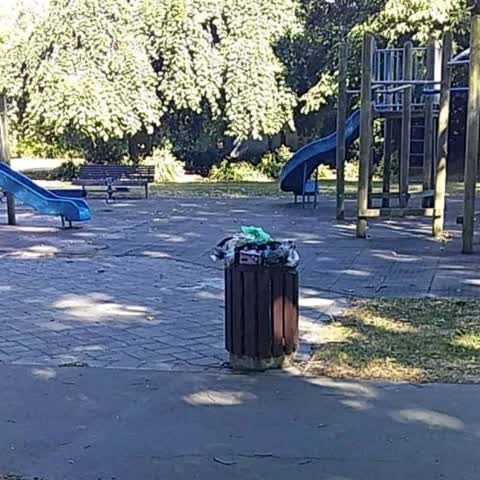 Rubbish/Recycling, a report photo