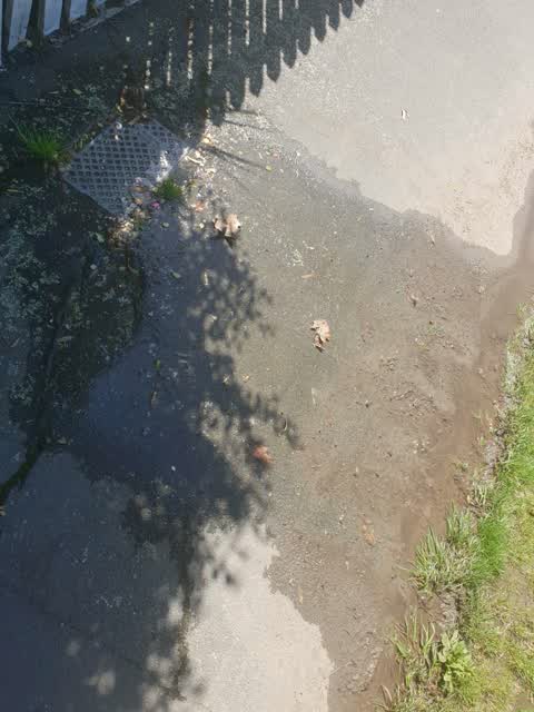 Water Supply, a report photo