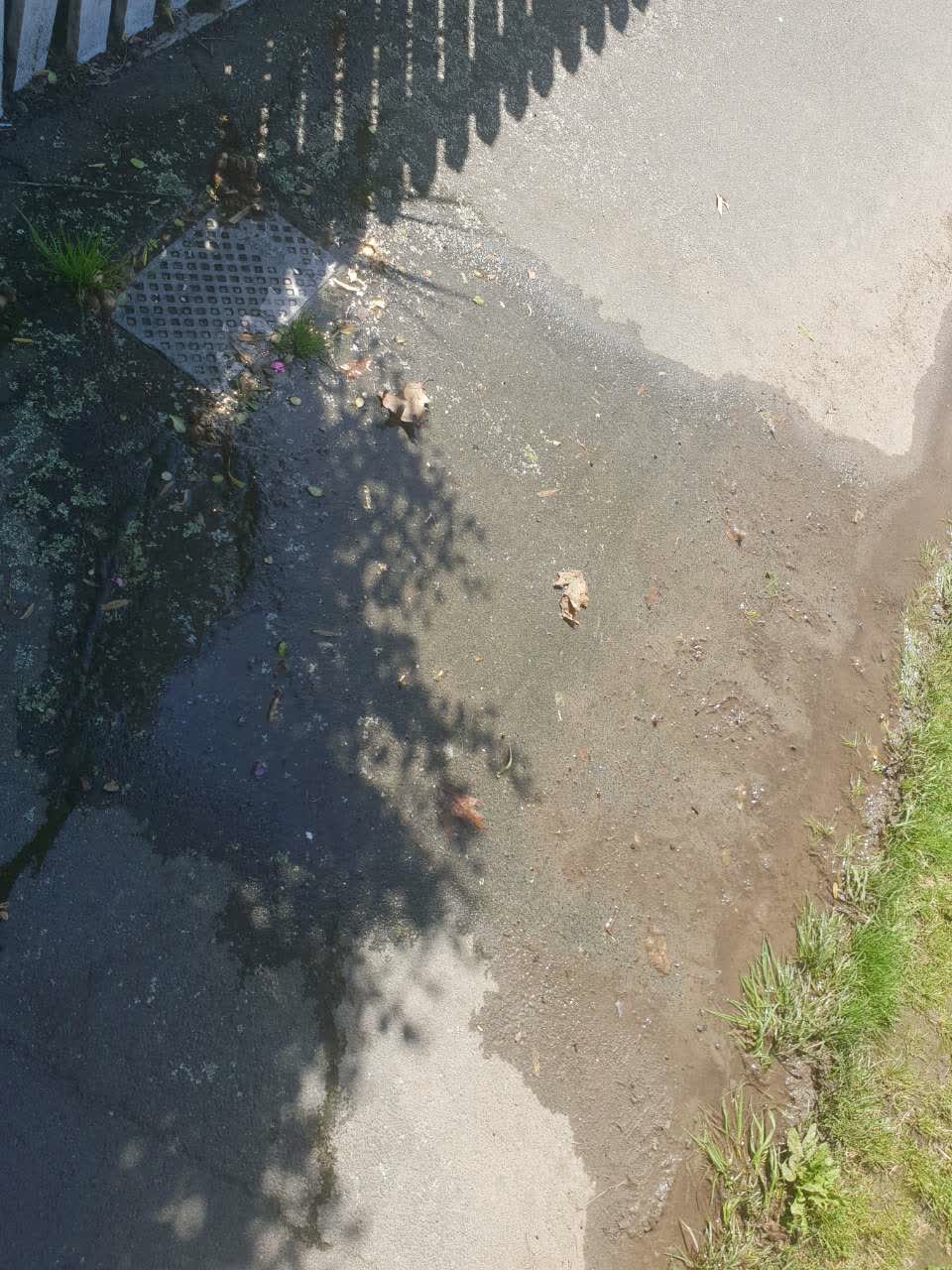 The photograph attached to this water supply report
