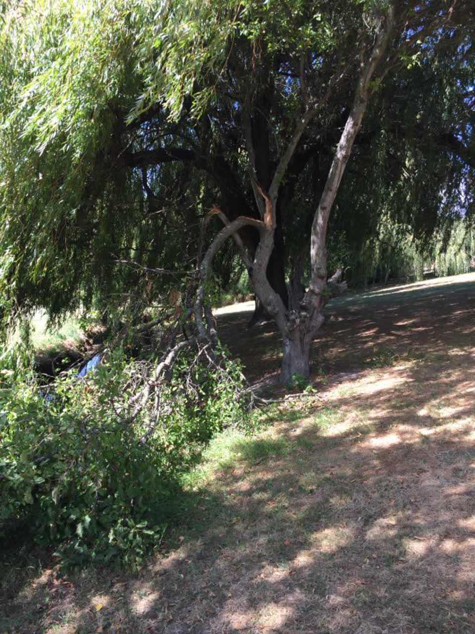The photograph attached to this parks report