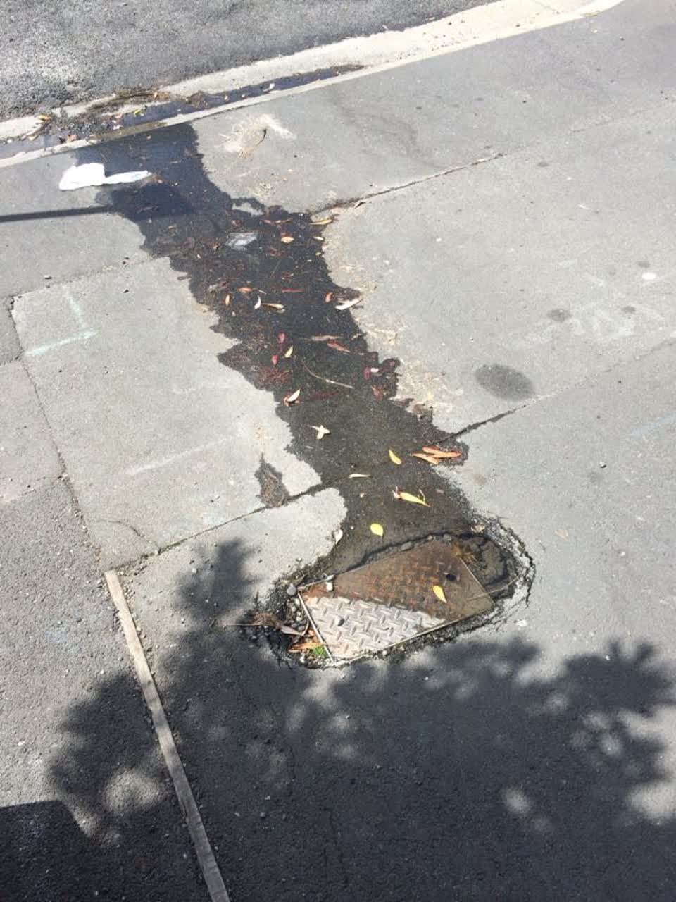 The photograph attached to this water supply report