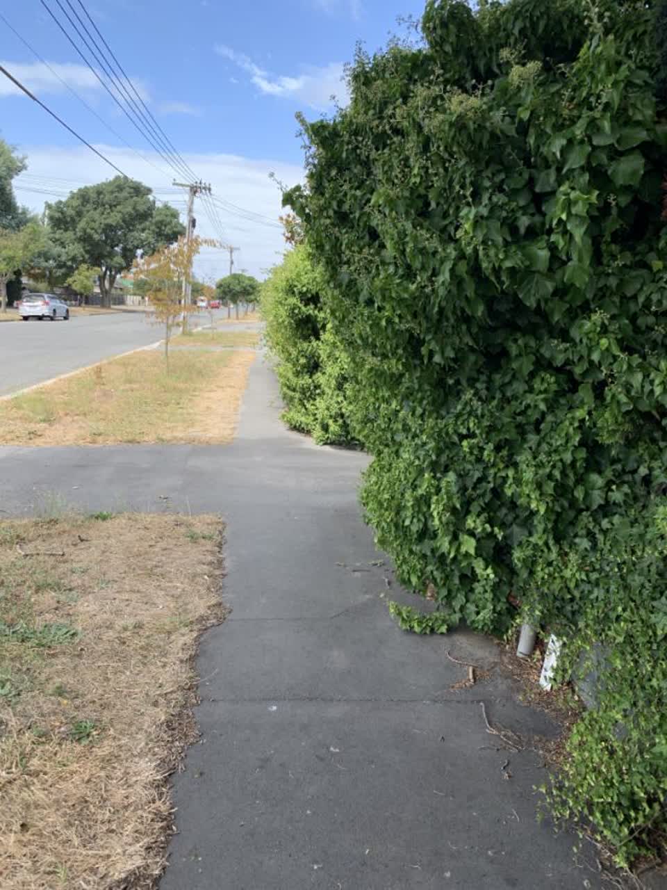 The photograph attached to this roading/streets report