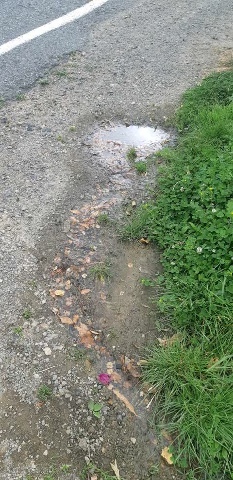 Water Supply, a report photo