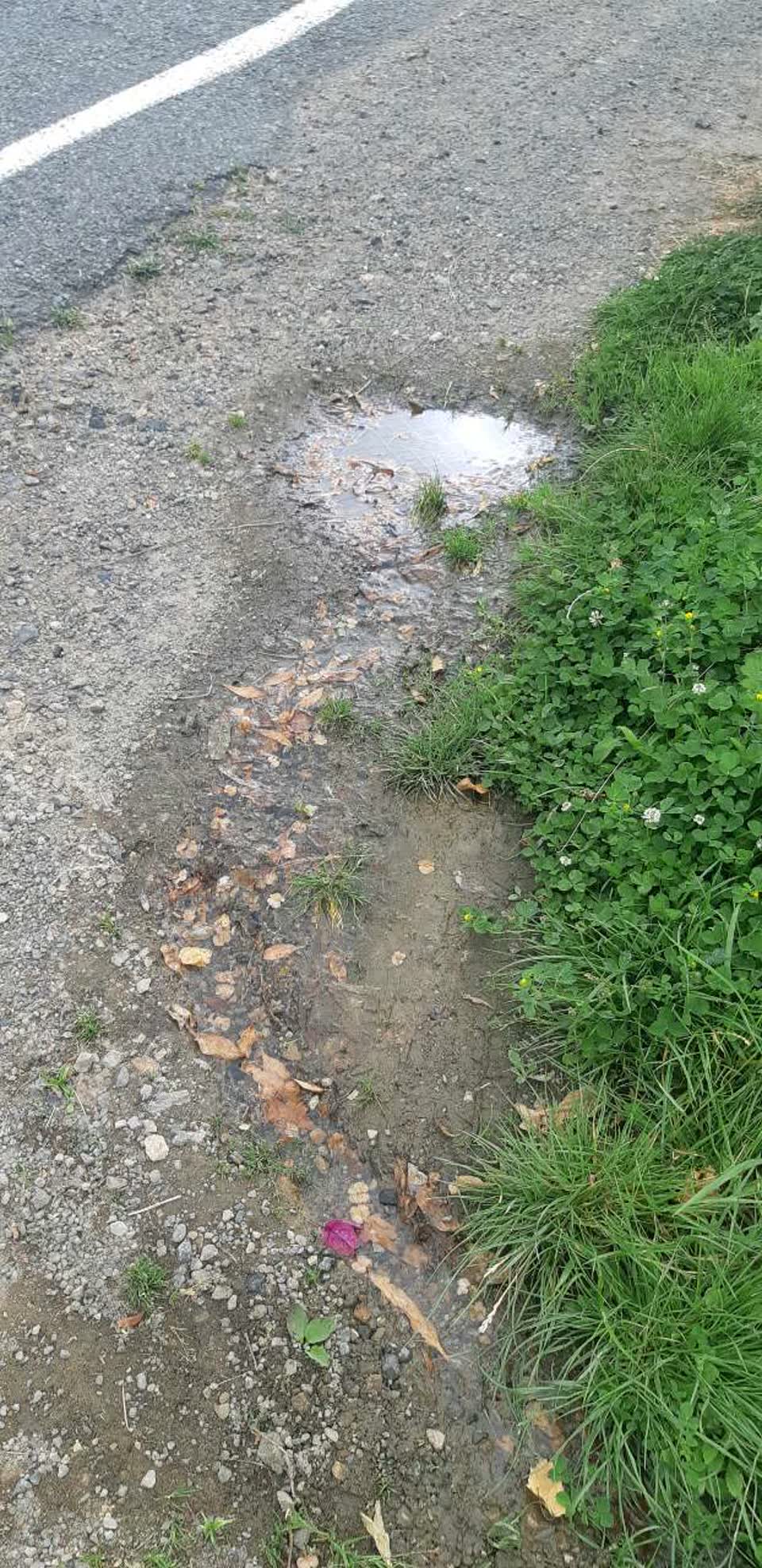 The photograph attached to this water supply report