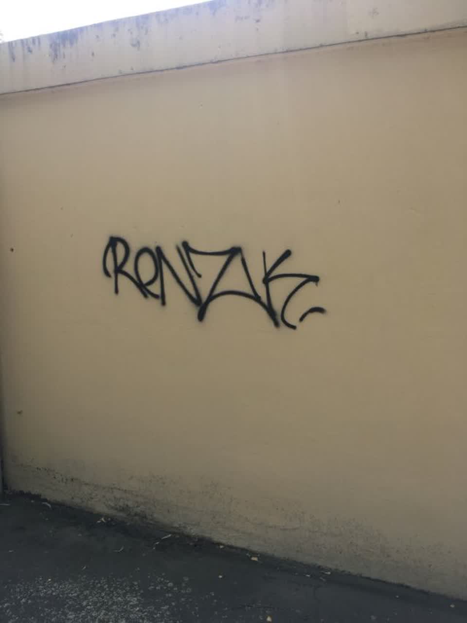 The photograph attached to this graffiti report