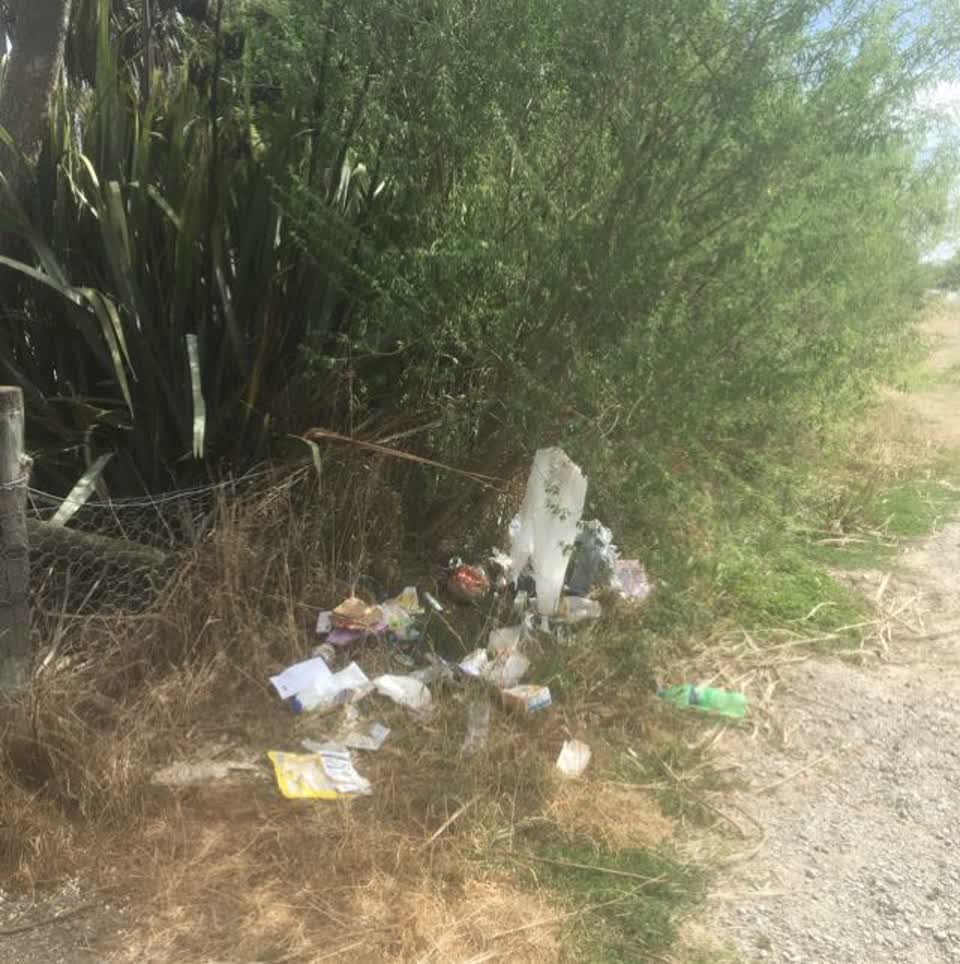 The photograph attached to this parks report