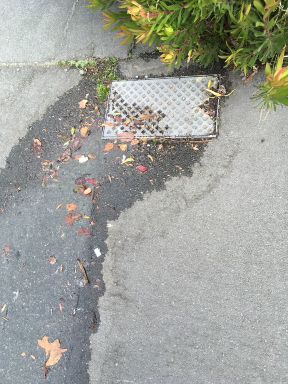 The photograph attached to this roading/streets report