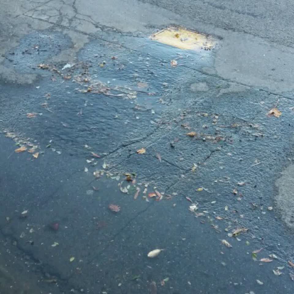 The photograph attached to this water supply report