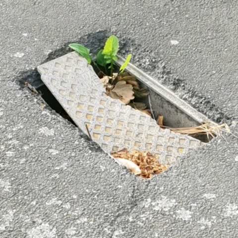 Roading/Streets, a report photo