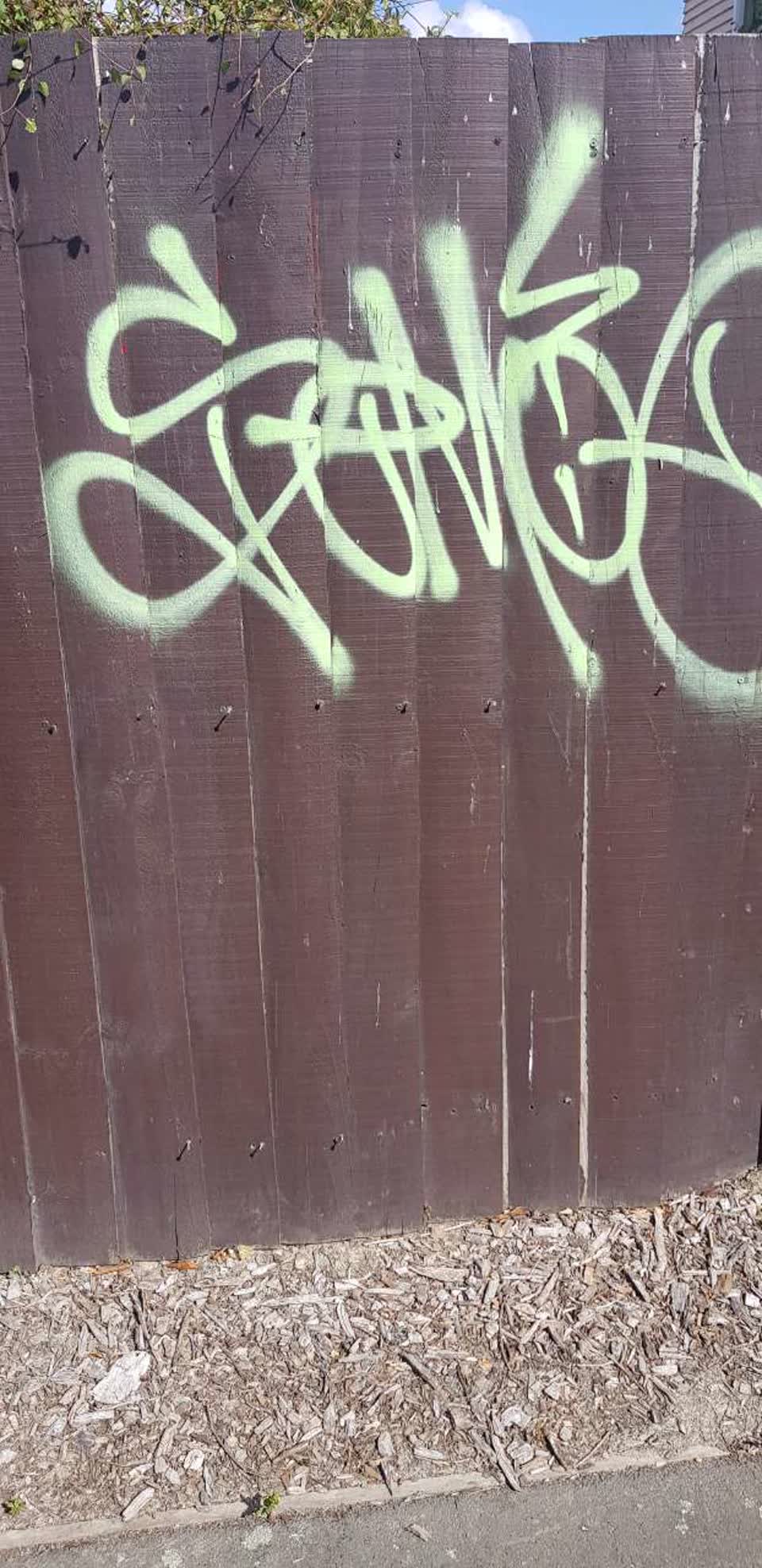 The photograph attached to this graffiti report