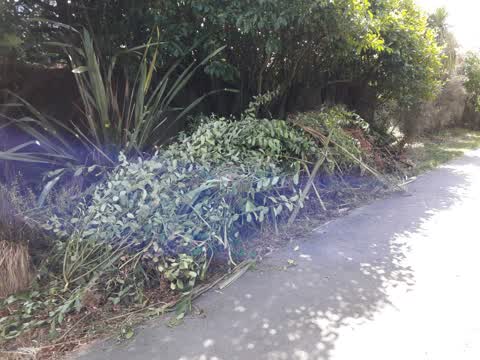 Parks, a report photo