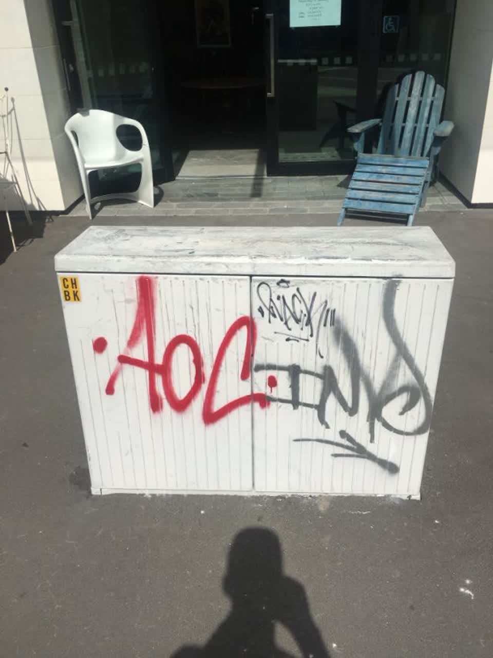 The photograph attached to this graffiti report
