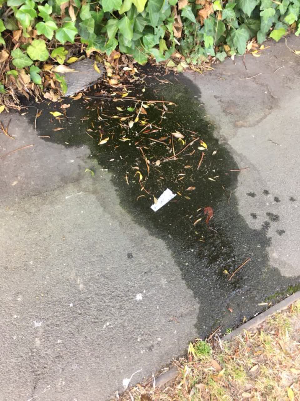 The photograph attached to this roading/streets report