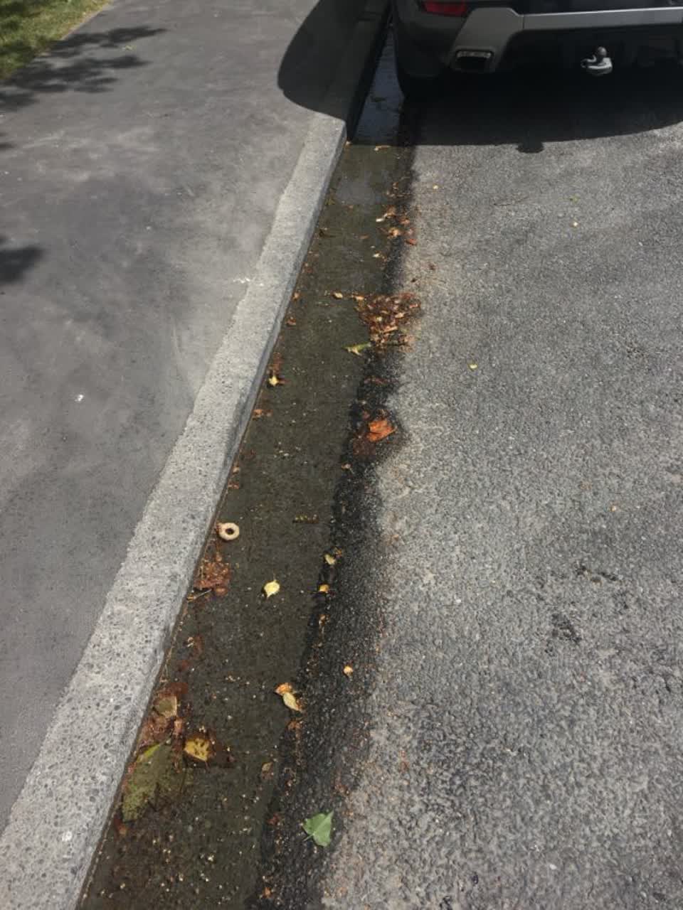 The photograph attached to this water supply report