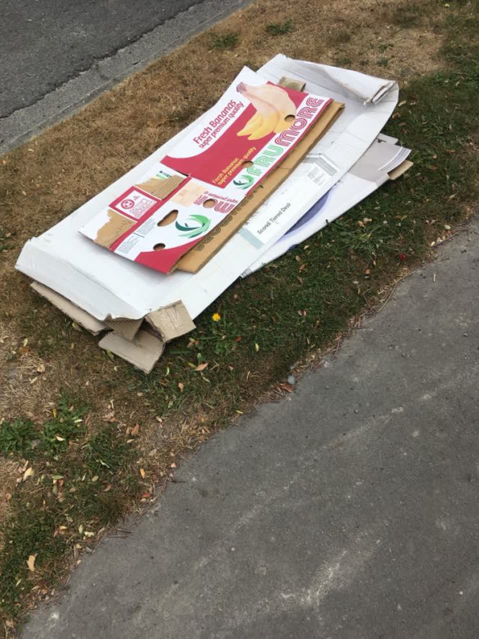 The photograph attached to this rubbish/recycling report