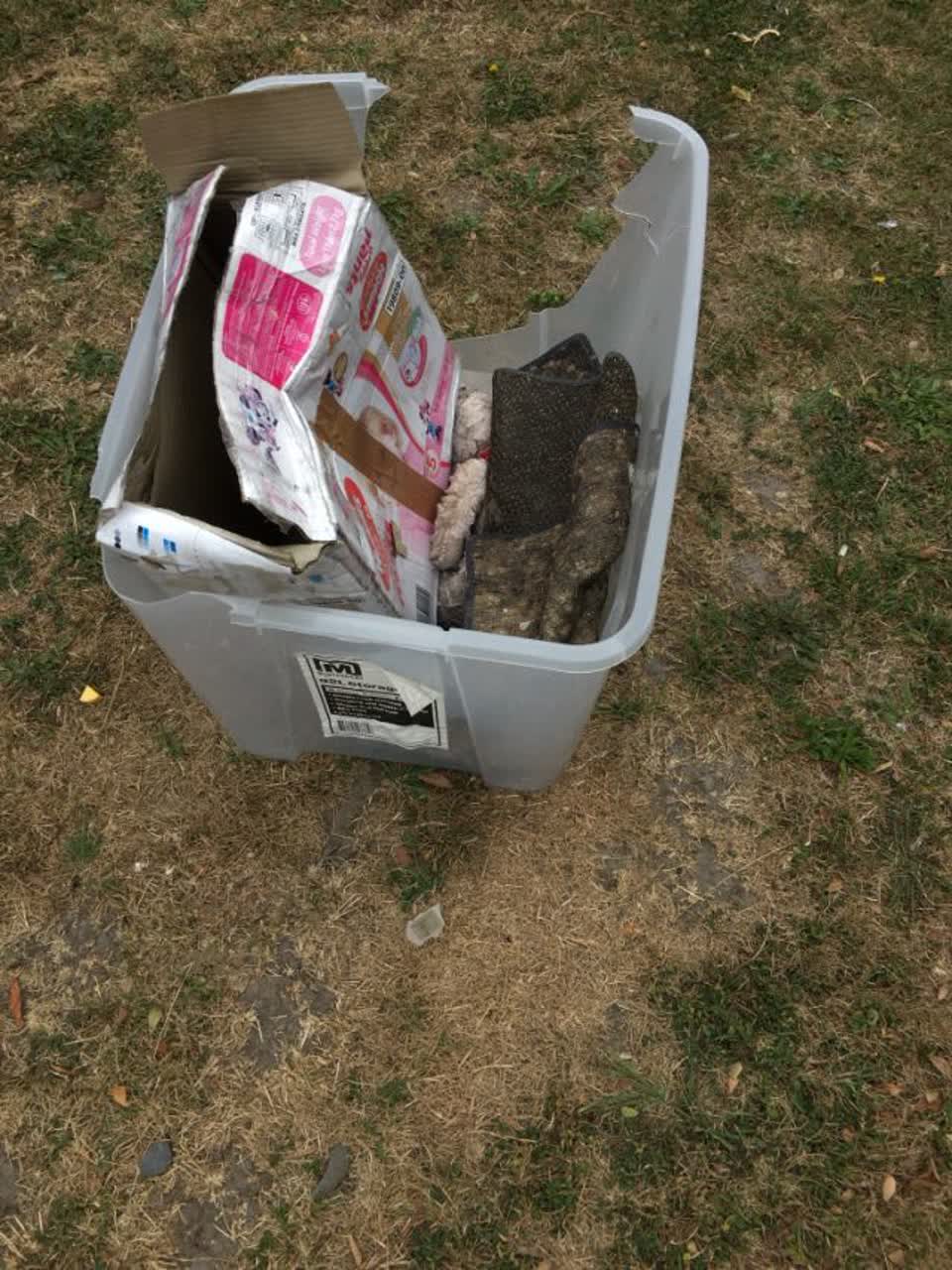 The photograph attached to this rubbish/recycling report