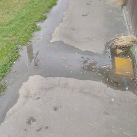 Water Supply, a report photo
