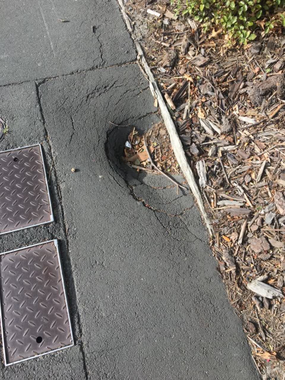 The photograph attached to this roading/streets report