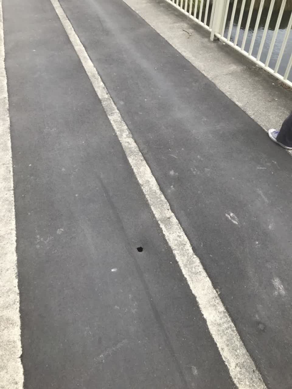 The photograph attached to this roading/streets report