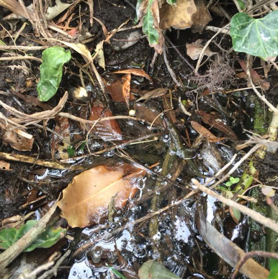 The photograph attached to this wastewater/stormwater report