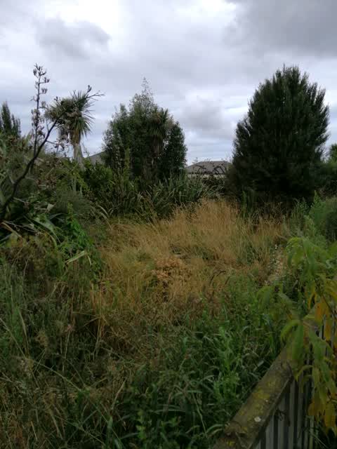 Parks, a report photo