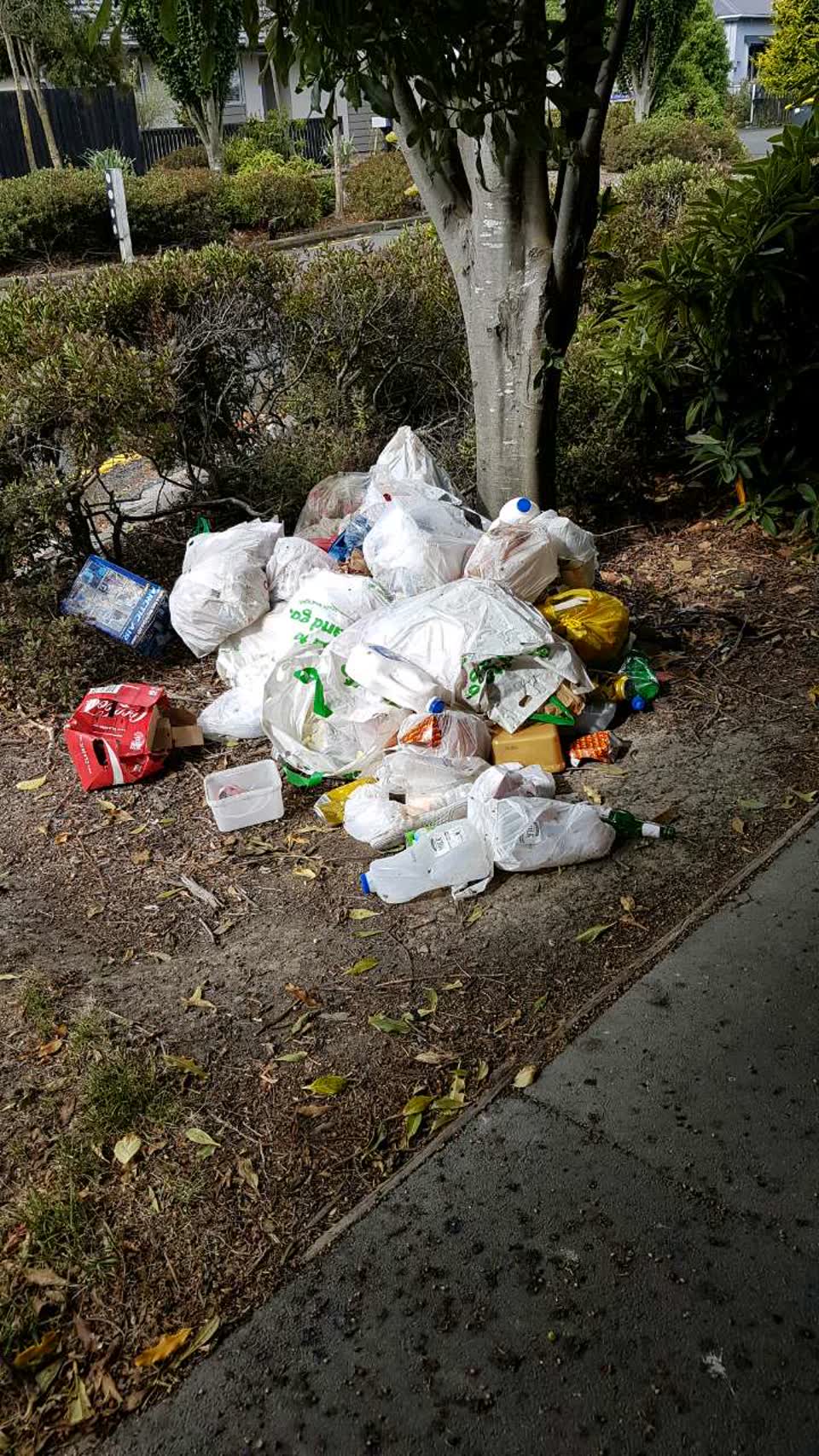 The photograph attached to this rubbish/recycling report