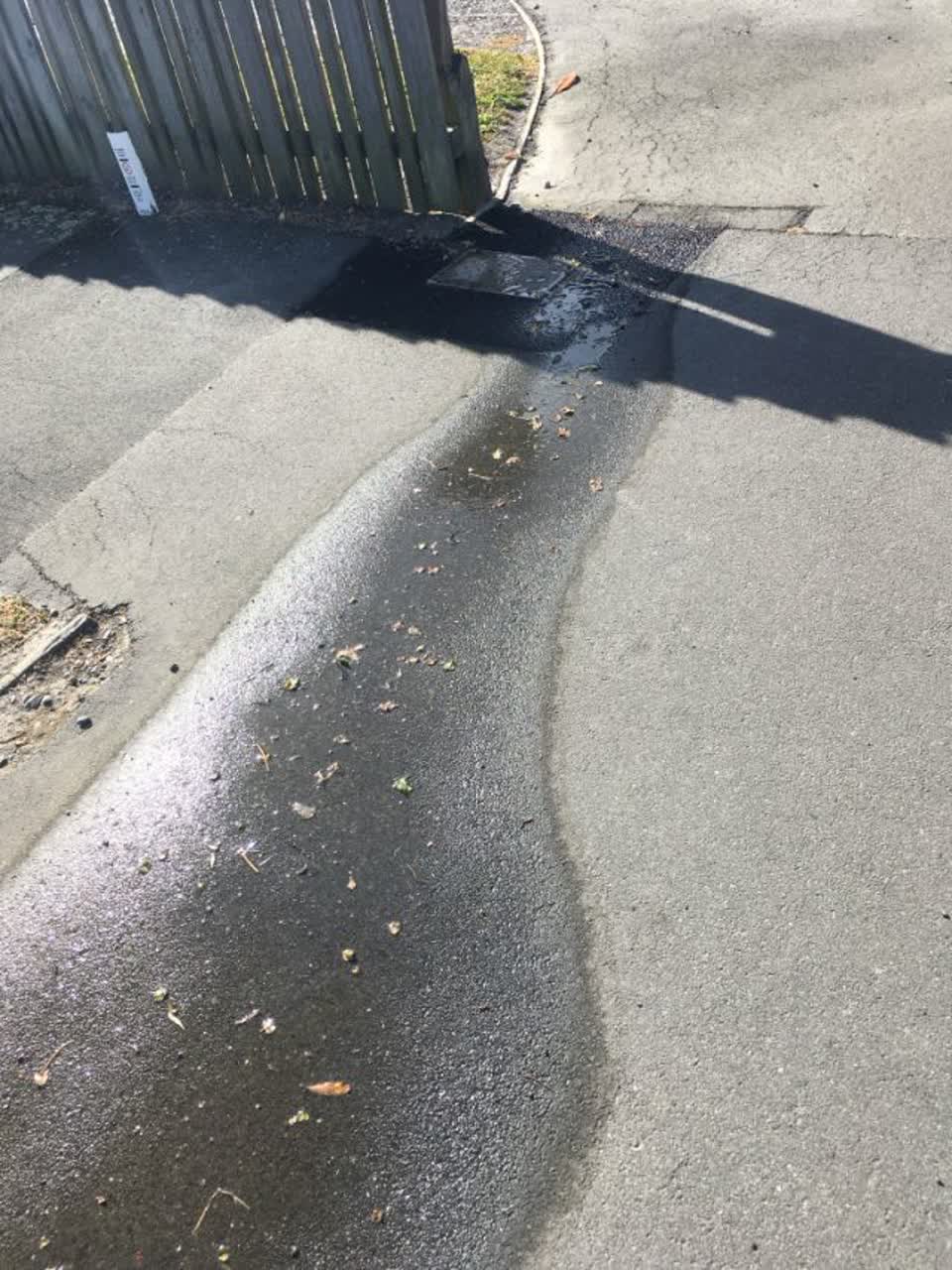 The photograph attached to this roading/streets report