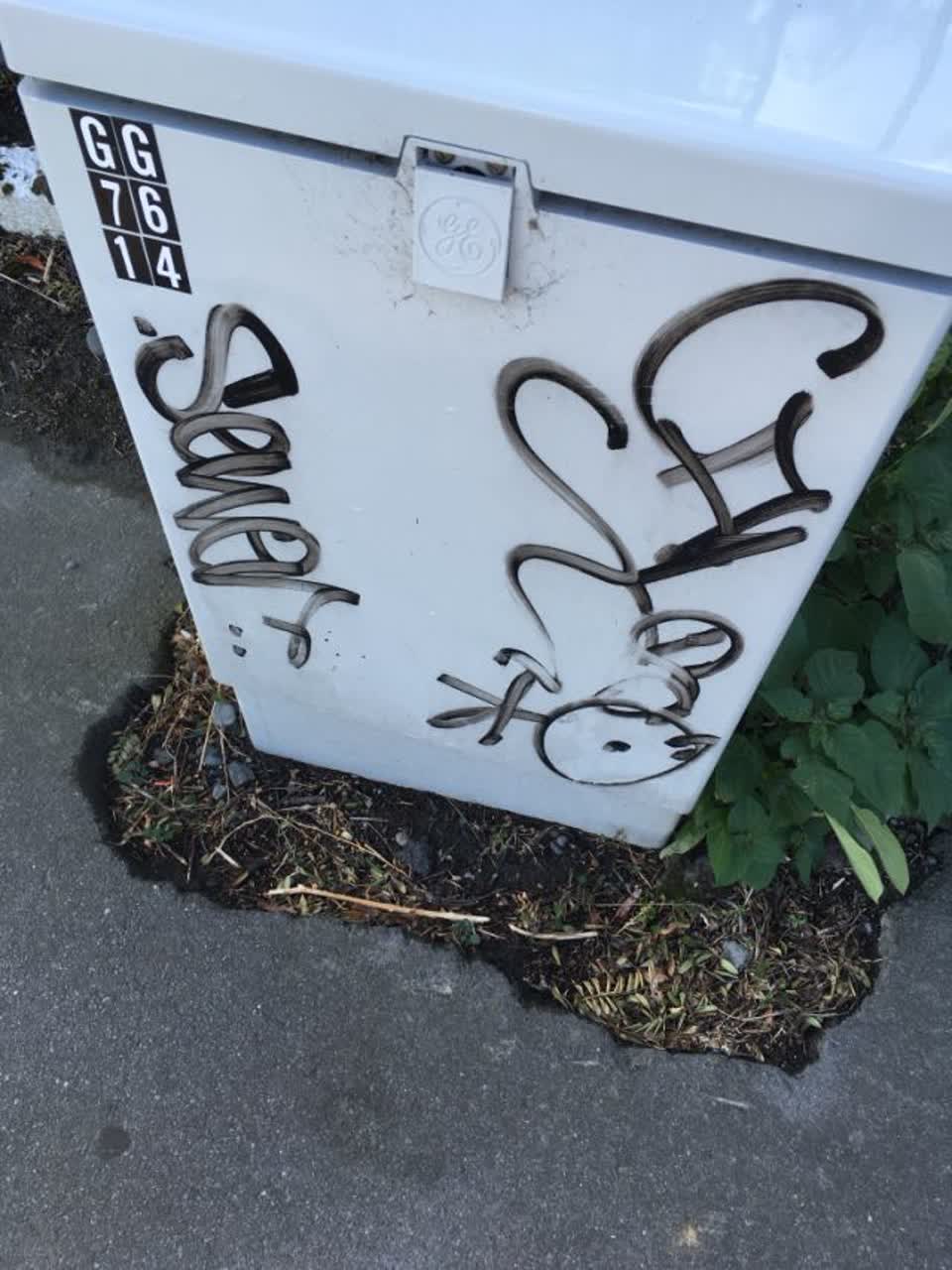 The photograph attached to this graffiti report
