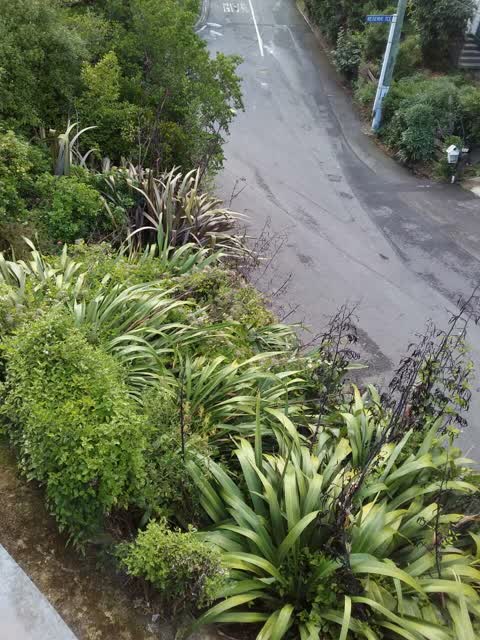 Roading/Streets, a report photo