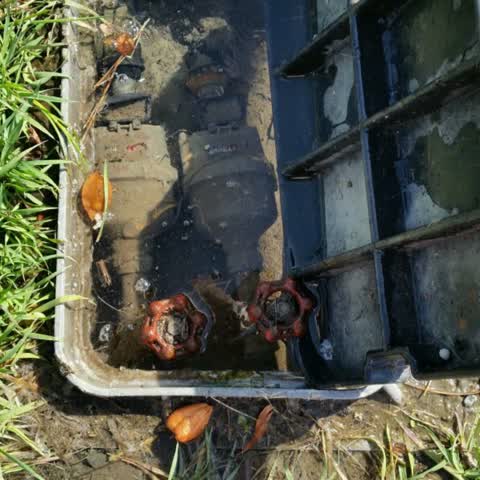 Water Supply, a report photo