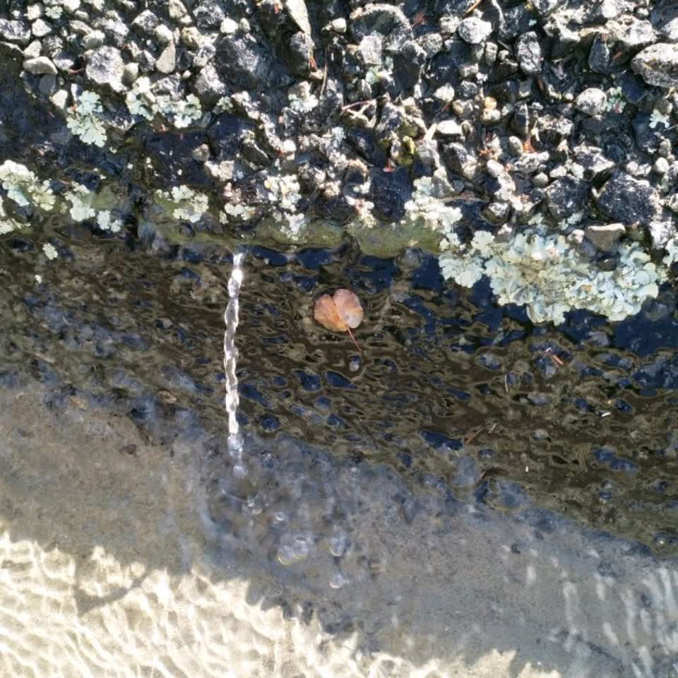 The photograph attached to this water supply report