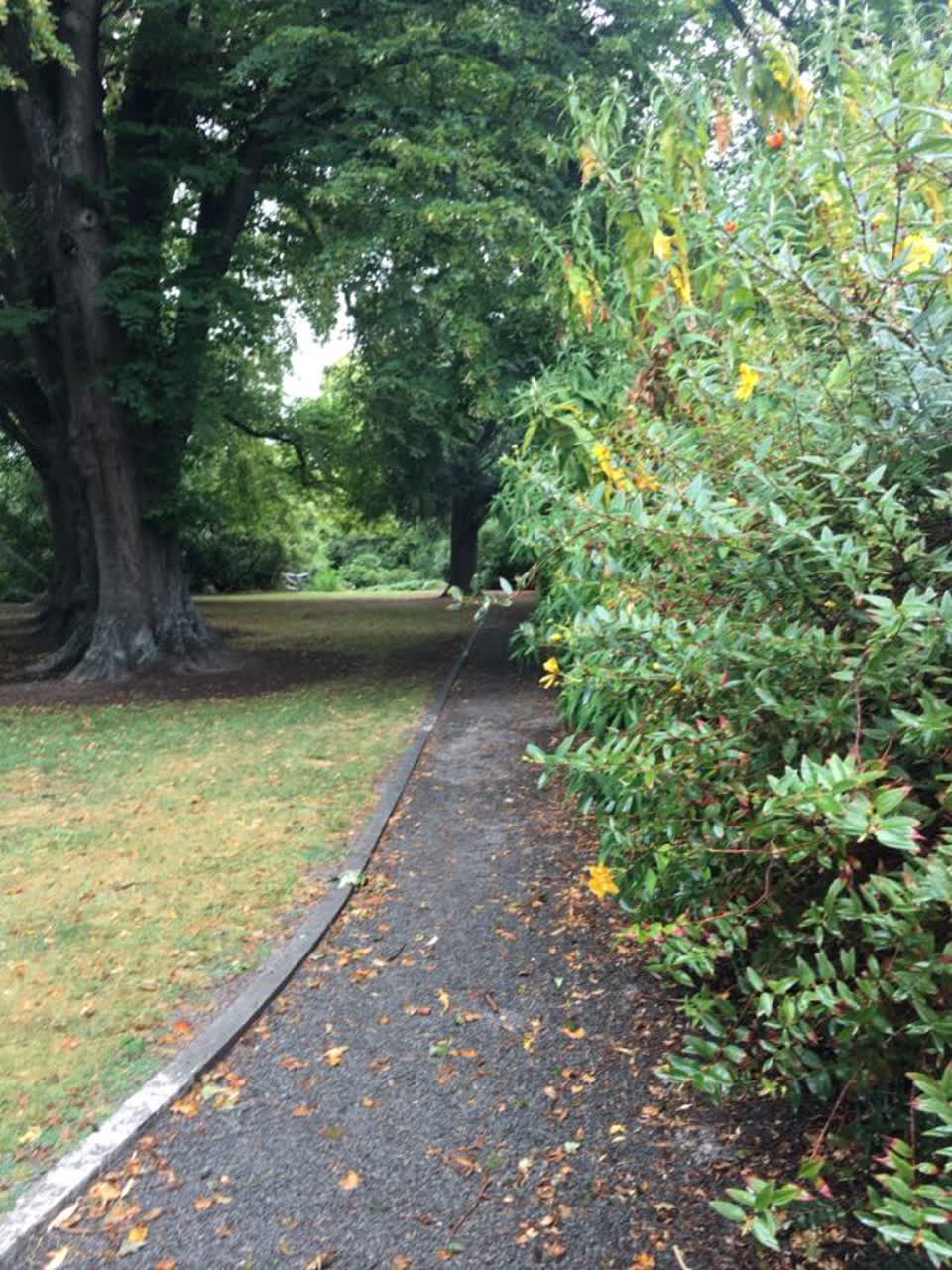 The photograph attached to this parks report