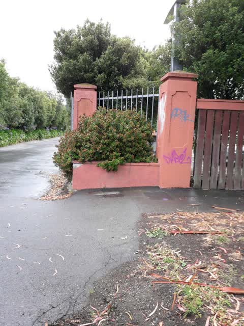 Graffiti, a report photo