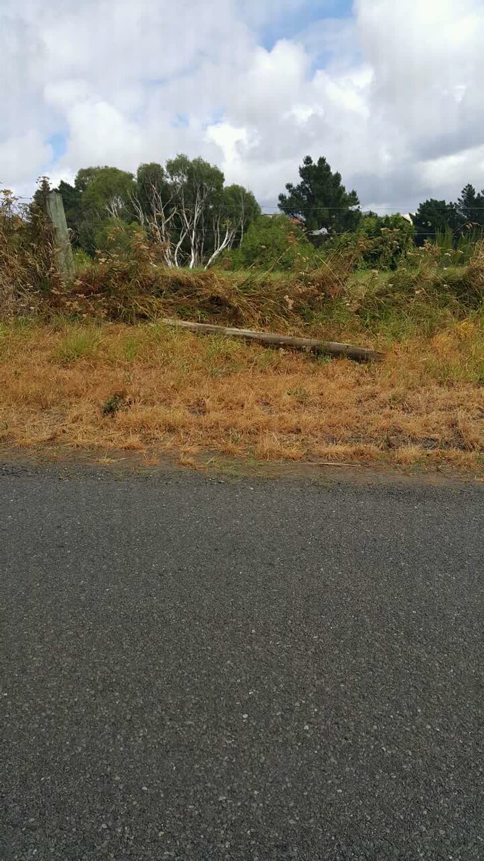 The photograph attached to this roading/streets report