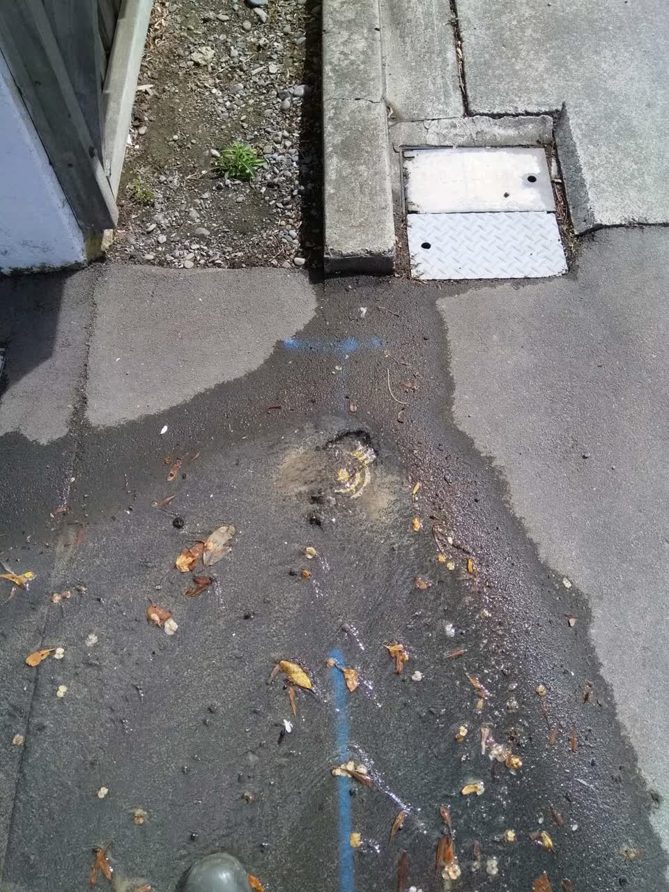 The photograph attached to this water supply report