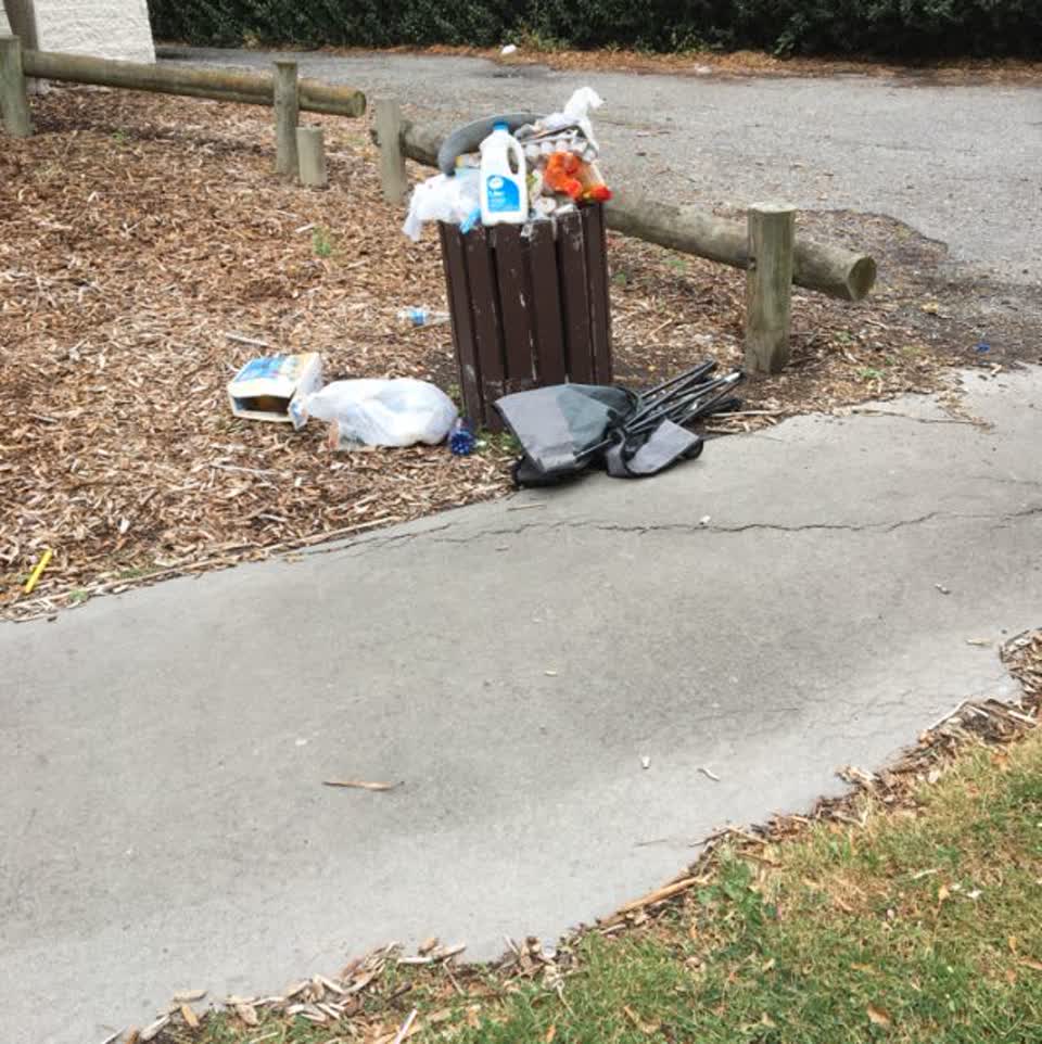 The photograph attached to this rubbish/recycling report