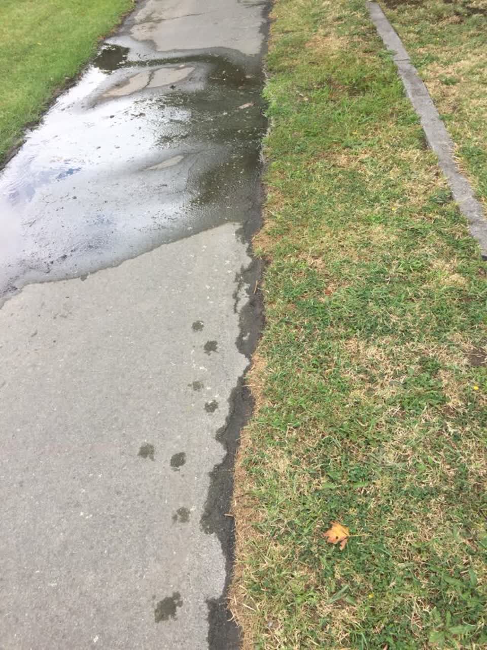 The photograph attached to this wastewater/stormwater report