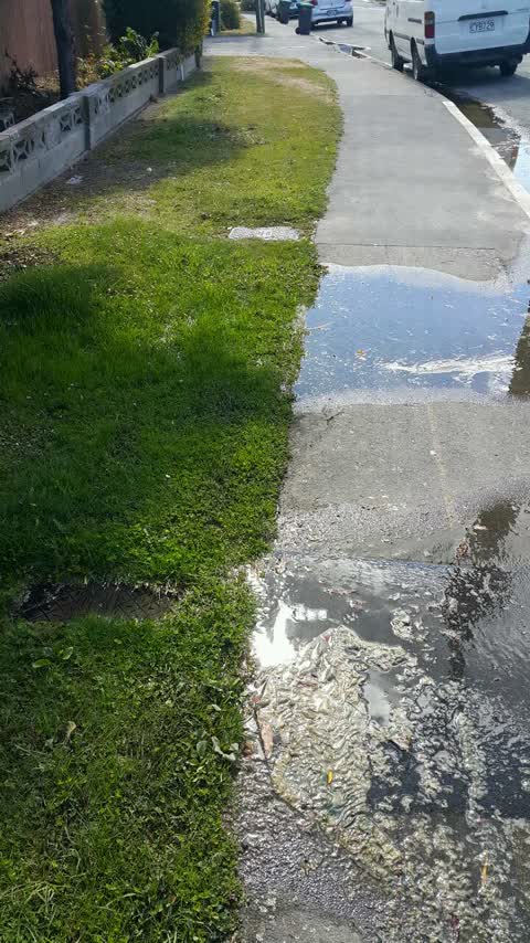 Water Supply, a report photo