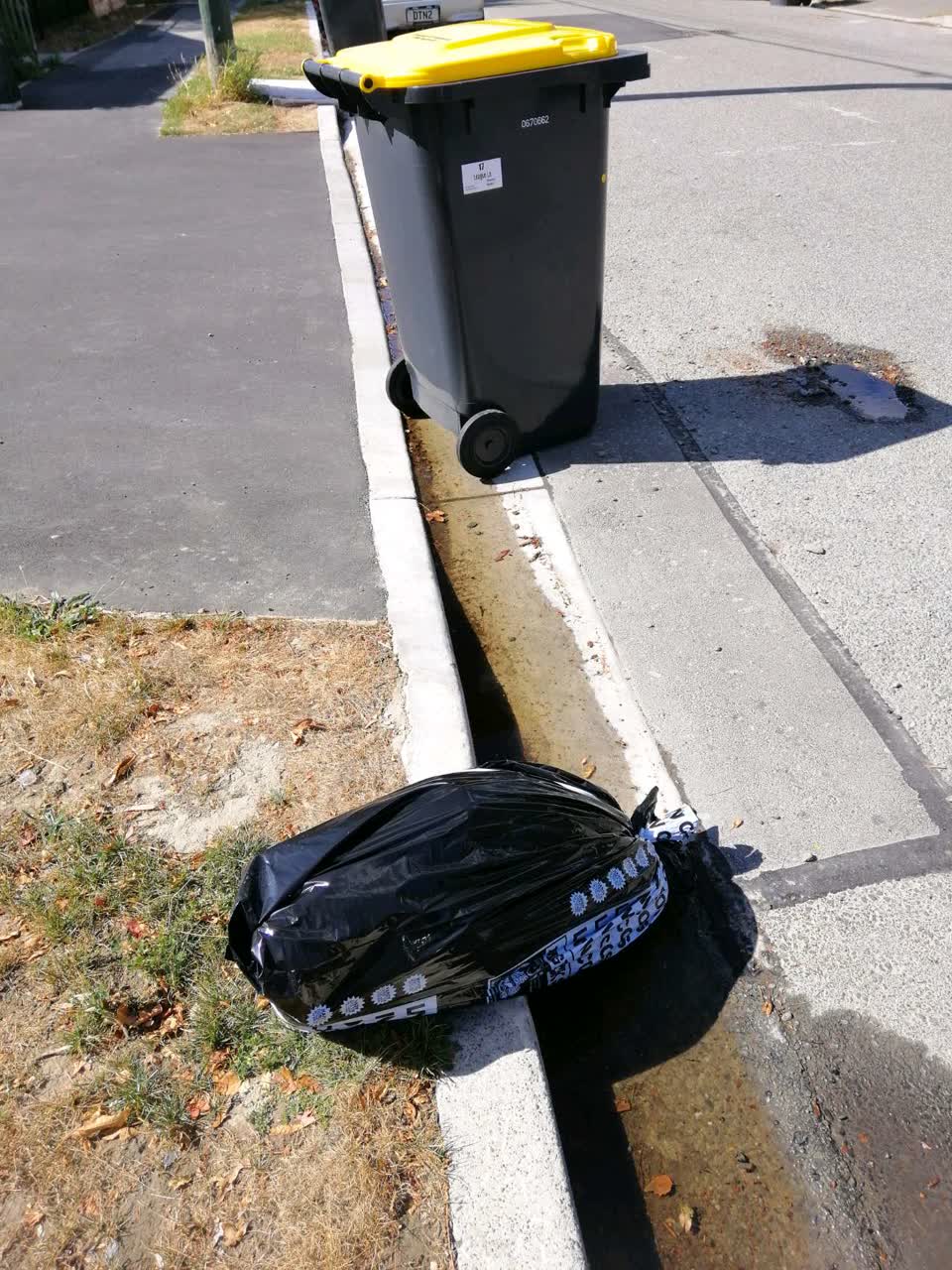 The photograph attached to this rubbish/recycling report