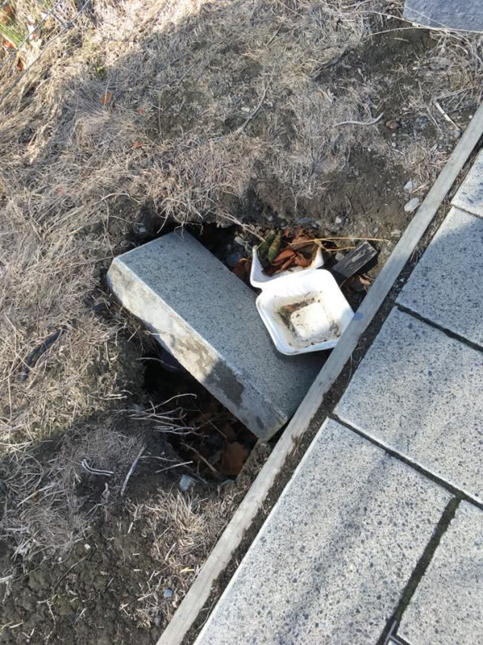 The photograph attached to this roading/streets report