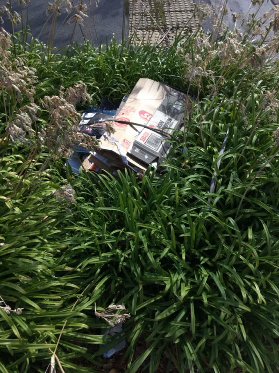 The photograph attached to this rubbish/recycling report