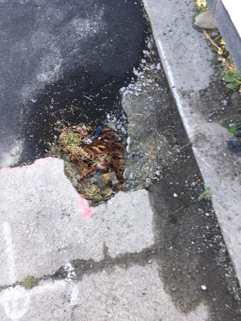 The photograph attached to this roading/streets report