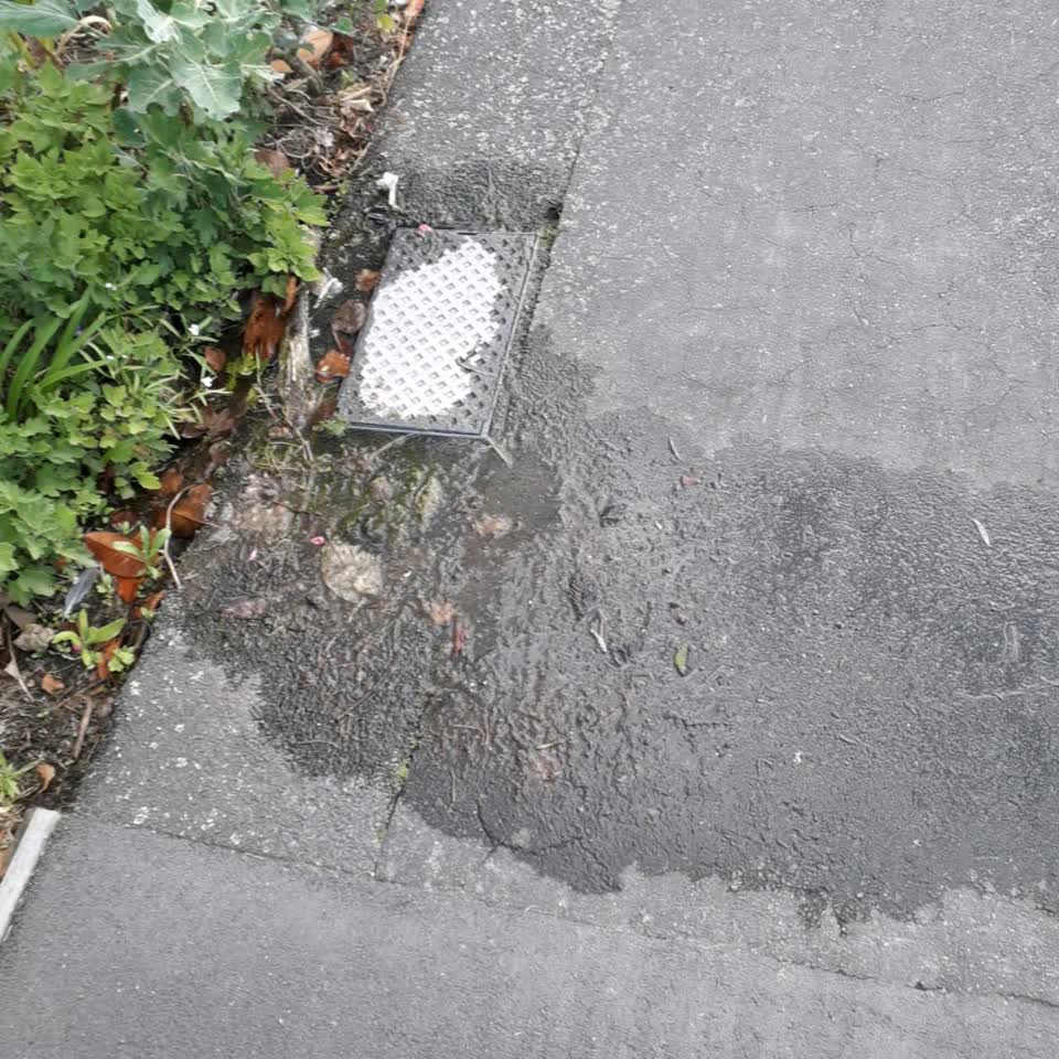 The photograph attached to this water supply report