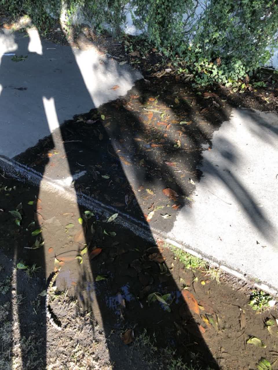The photograph attached to this water supply report