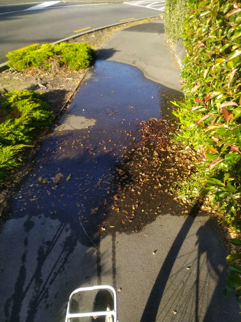 The photograph attached to this water supply report